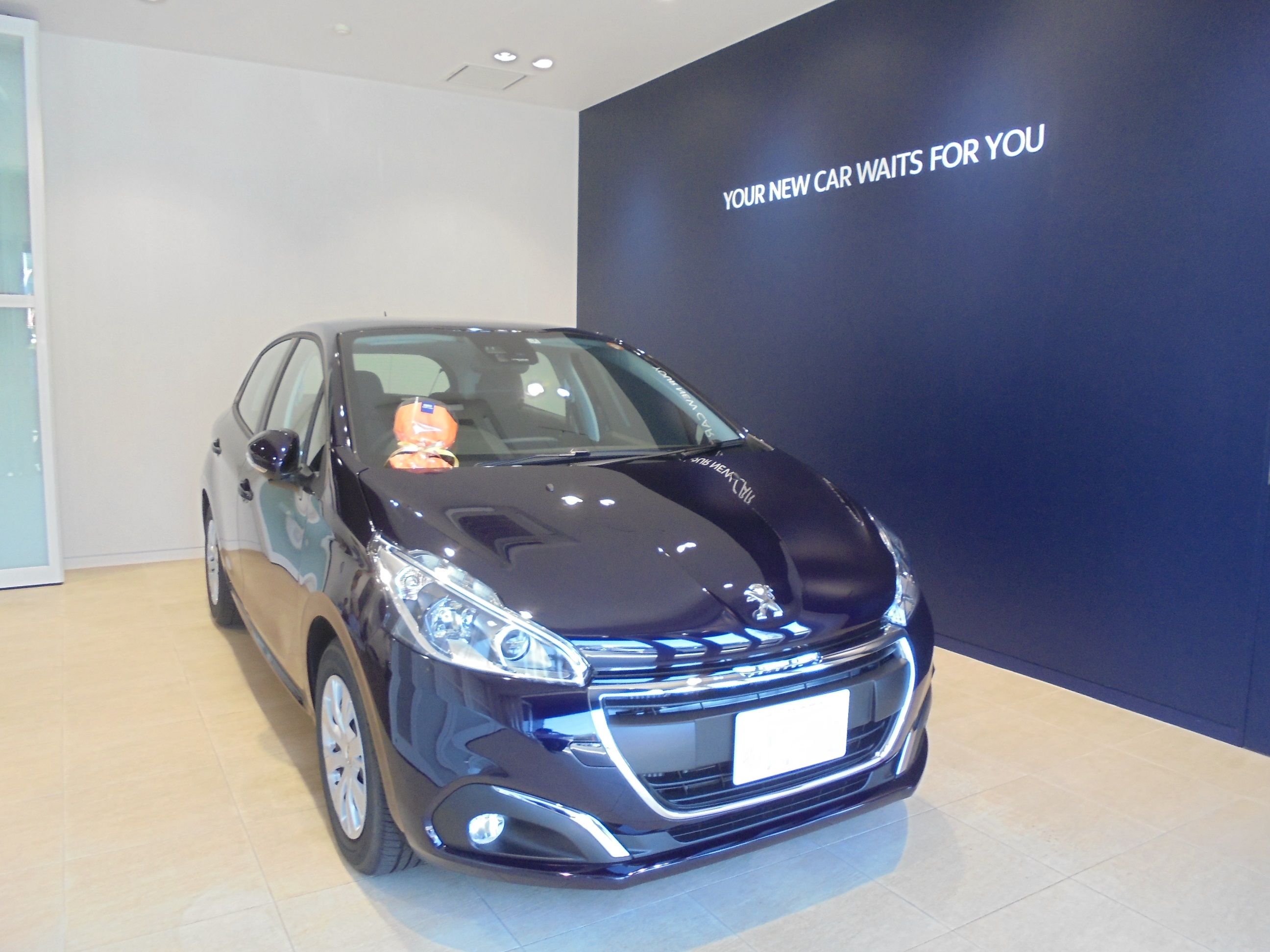 208　First　Selection 　ご納車。