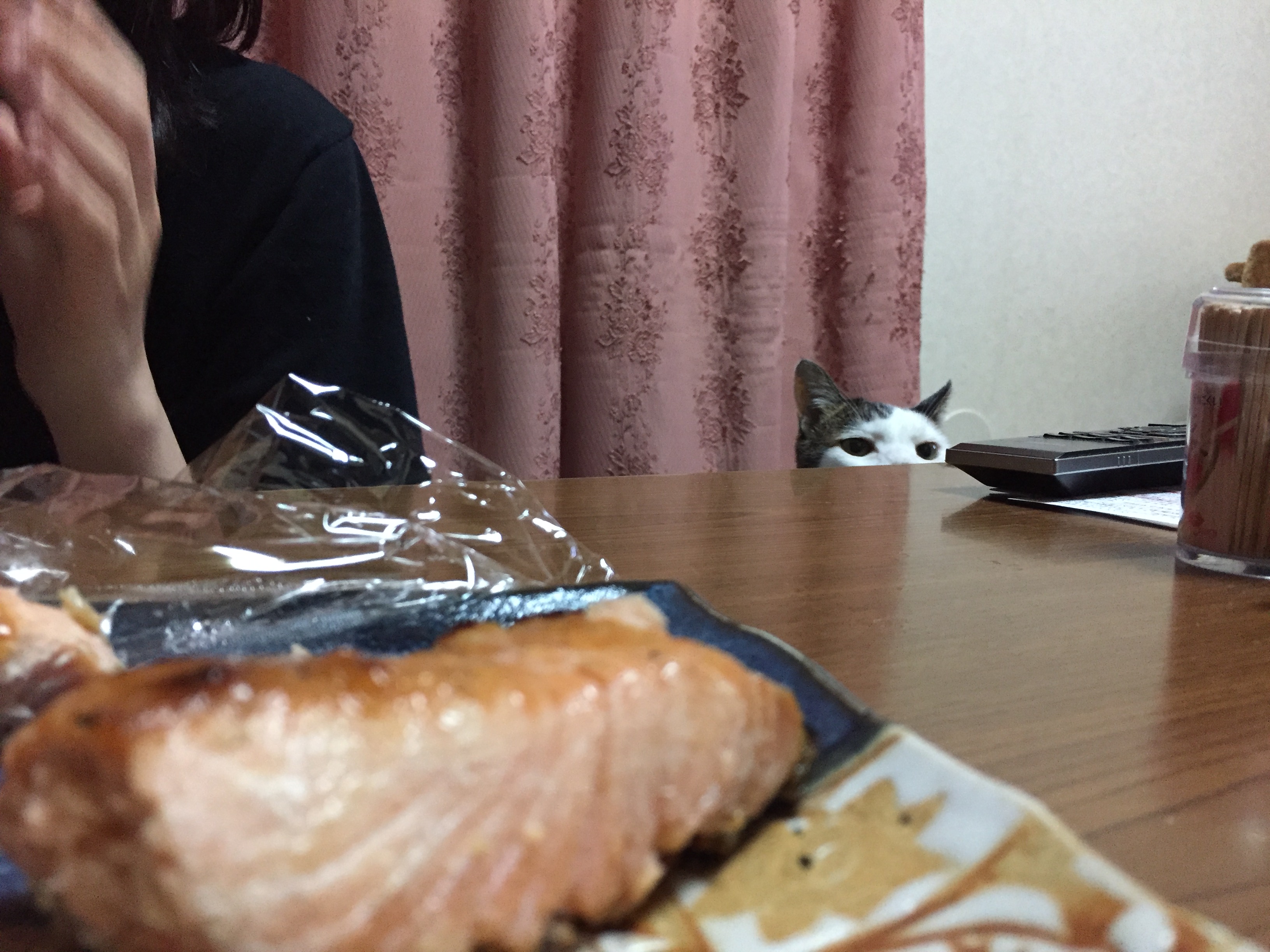 お魚泥棒！