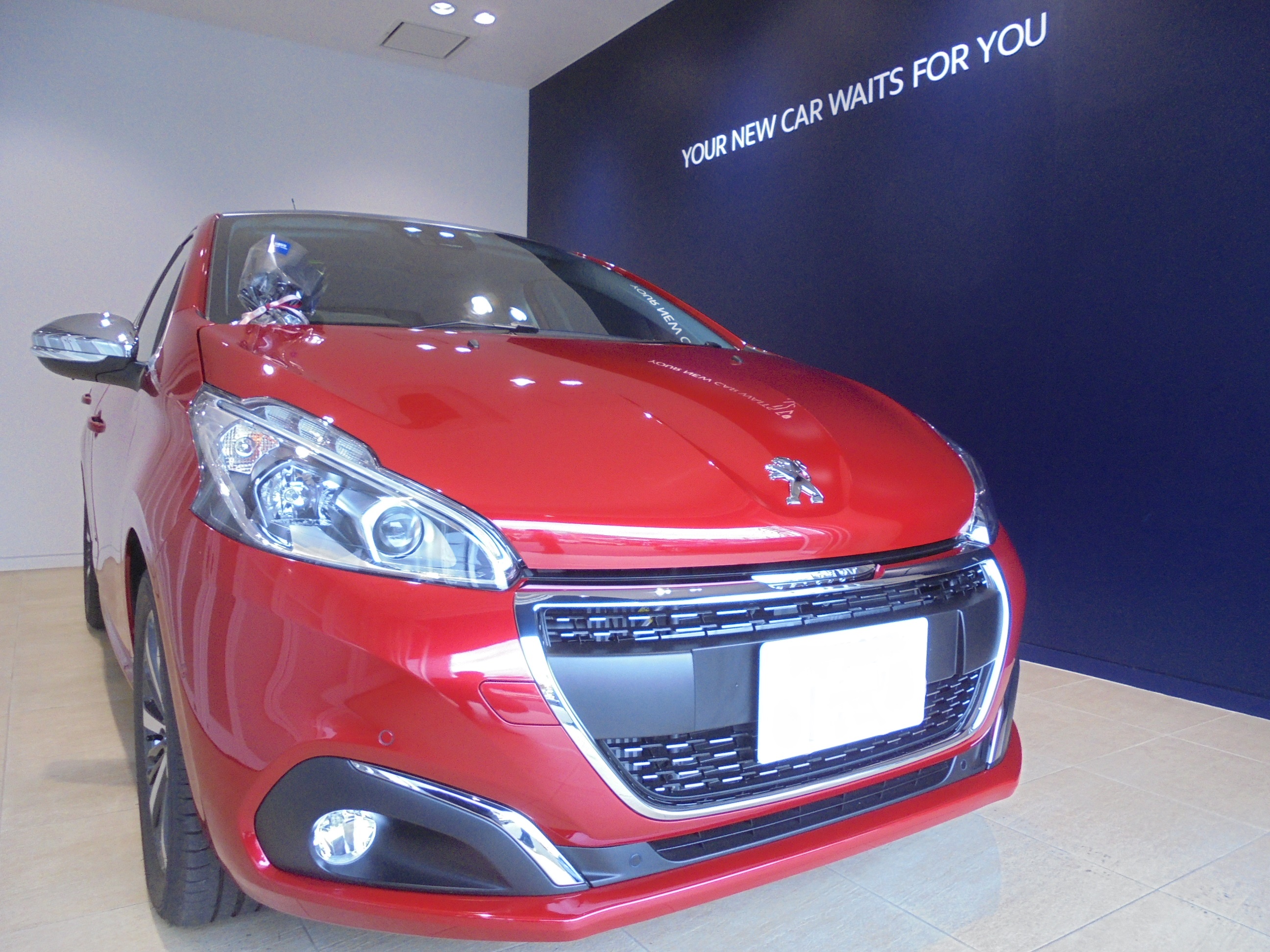 208　Allure Cielo pkg ご納車。