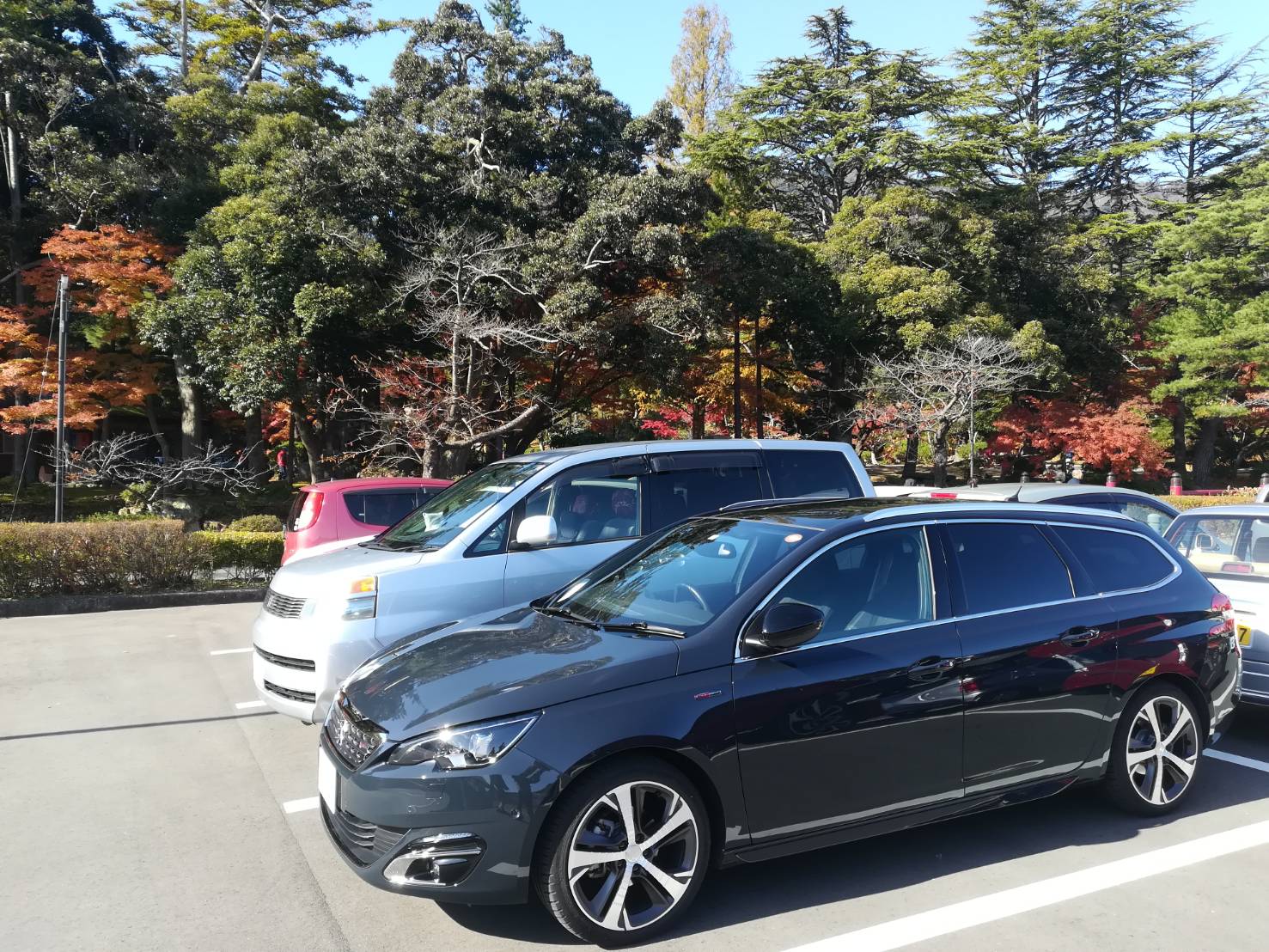 狩りに行ってきました！