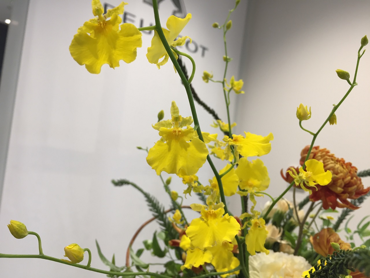 お花紹介