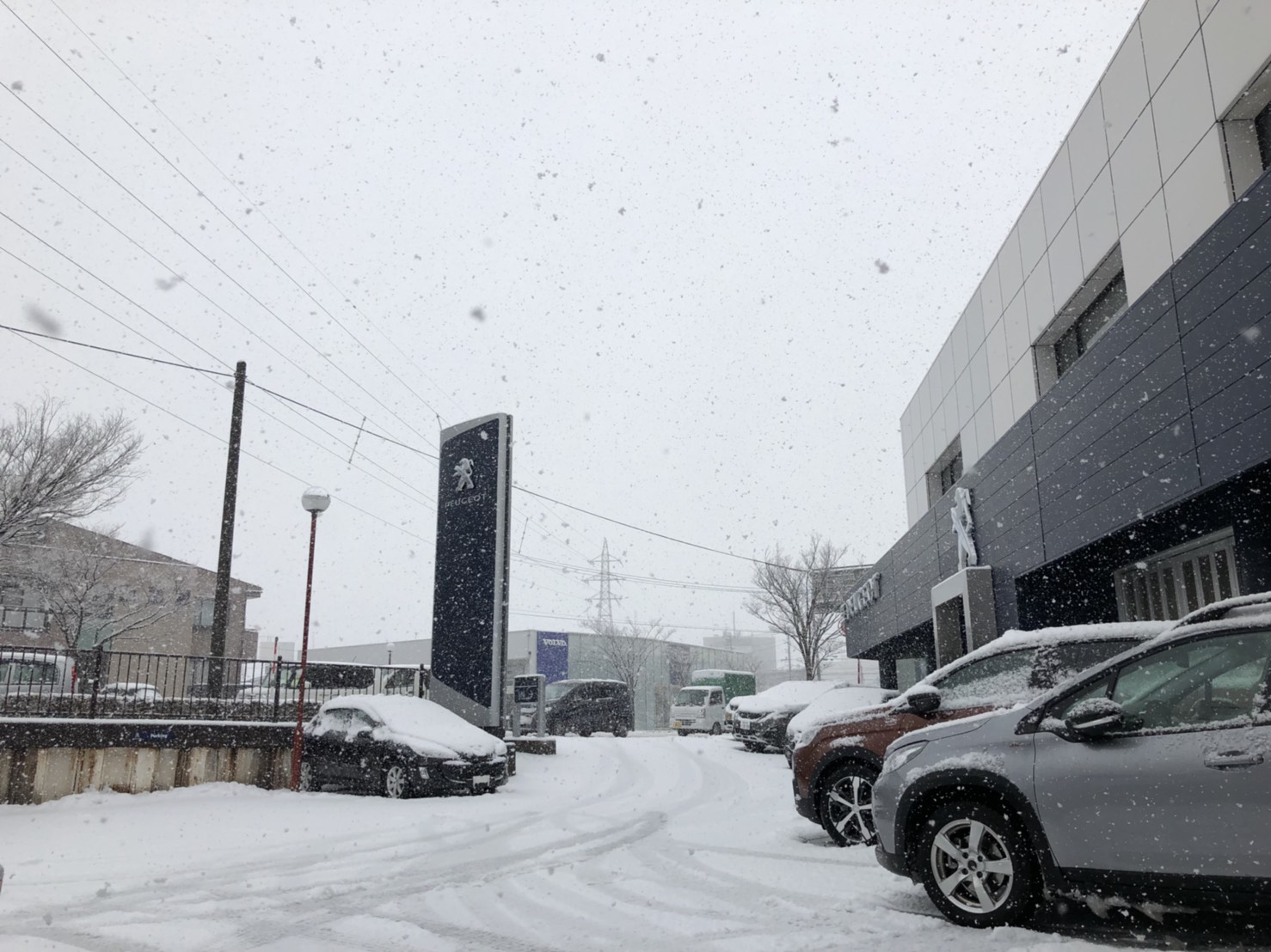 雪国新潟、皆様のご来店スタッフ一同お待ちしております！！