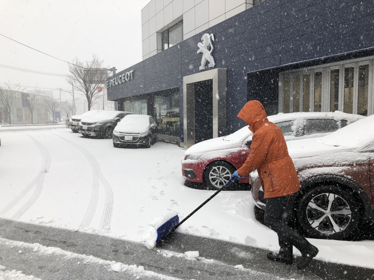 雪国新潟、皆様のご来店スタッフ一同お待ちしております！！