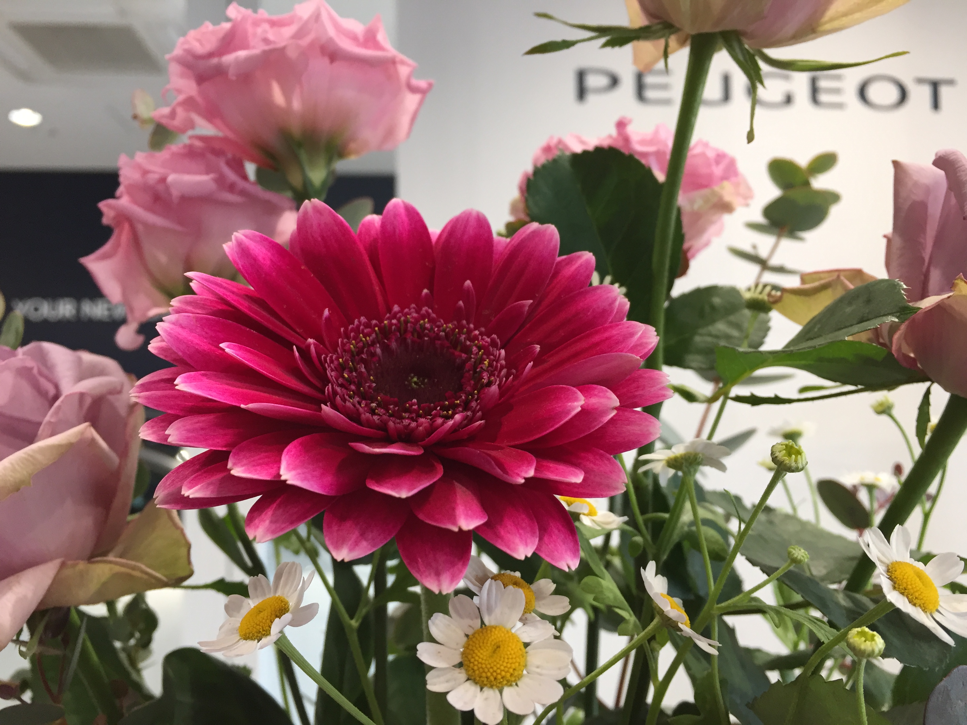 お花紹介