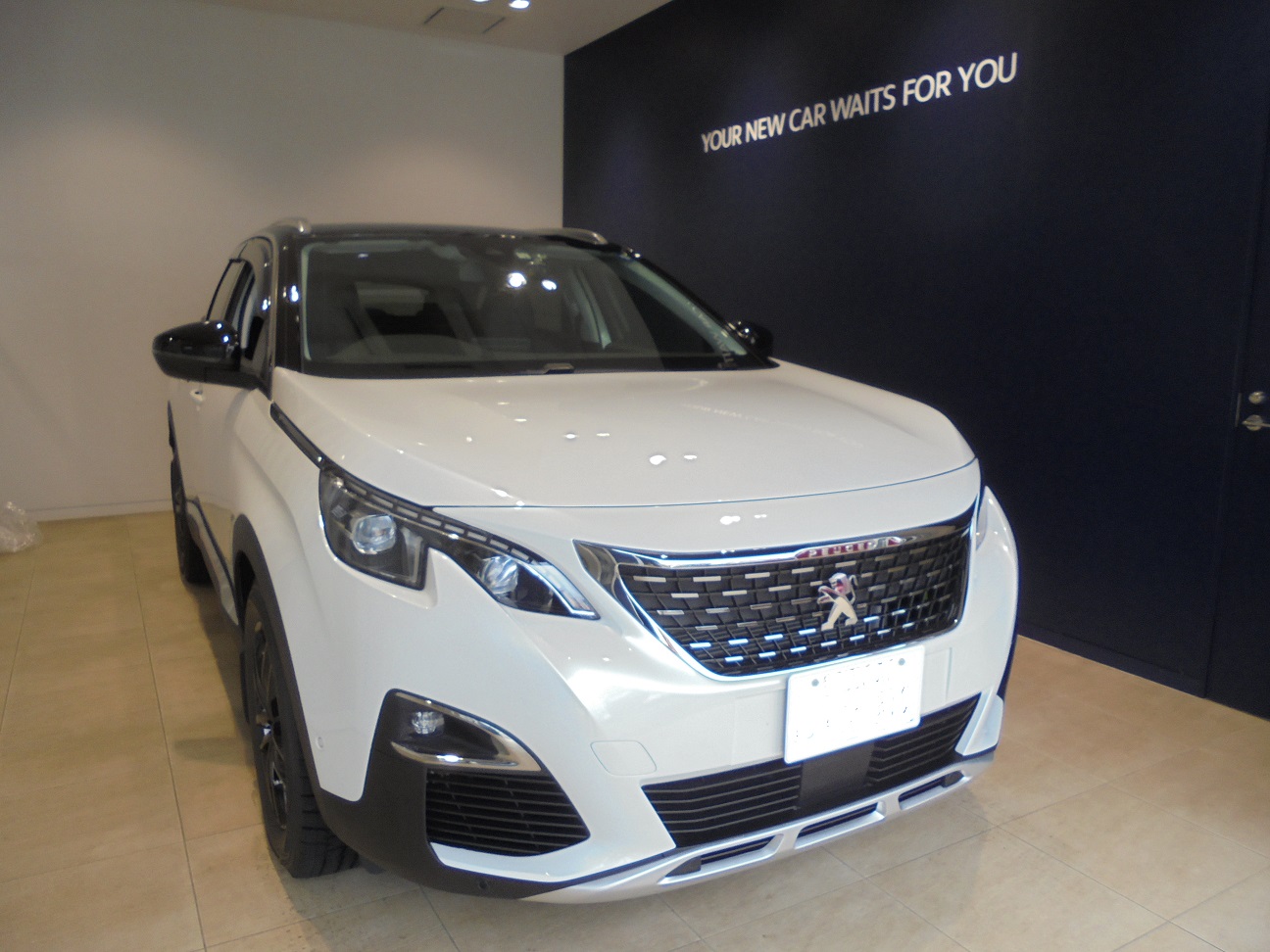 3008BlueHDi Special Editionご納車