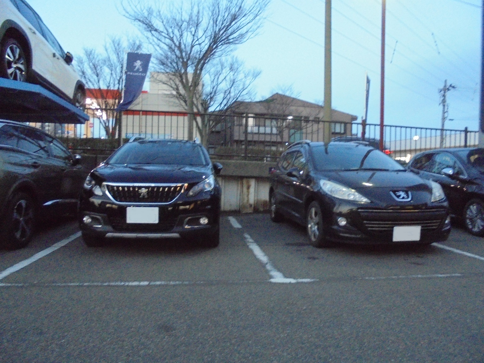 2008CROSSCITY