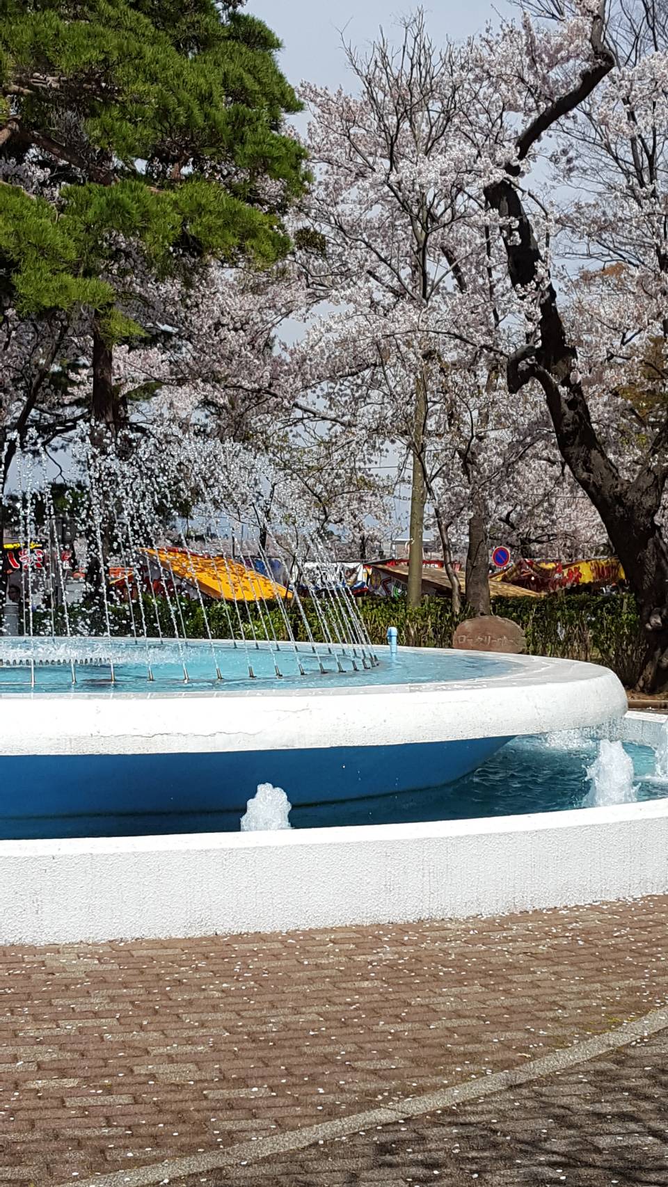 行ってきました！