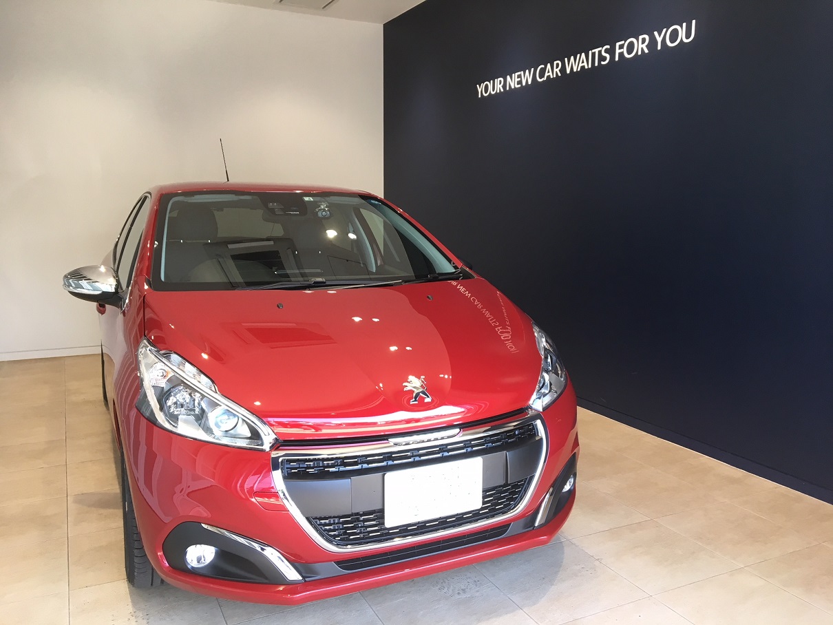 208Leather Editionご納車