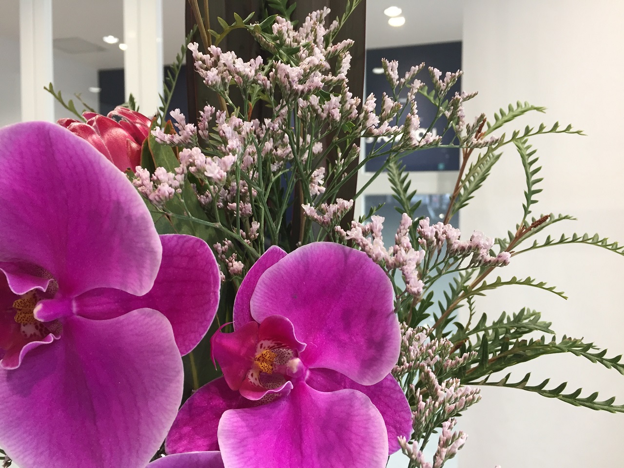 お花紹介