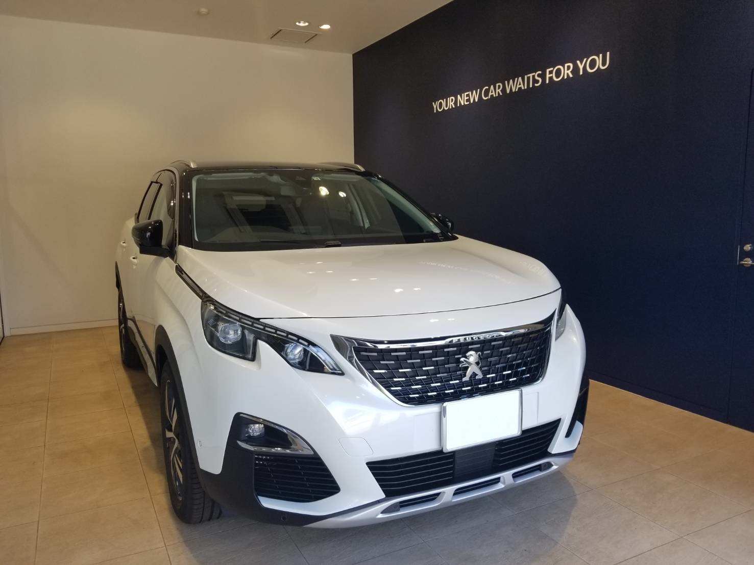 3008　Allure LEDpkg パール・ホワイト ご納車