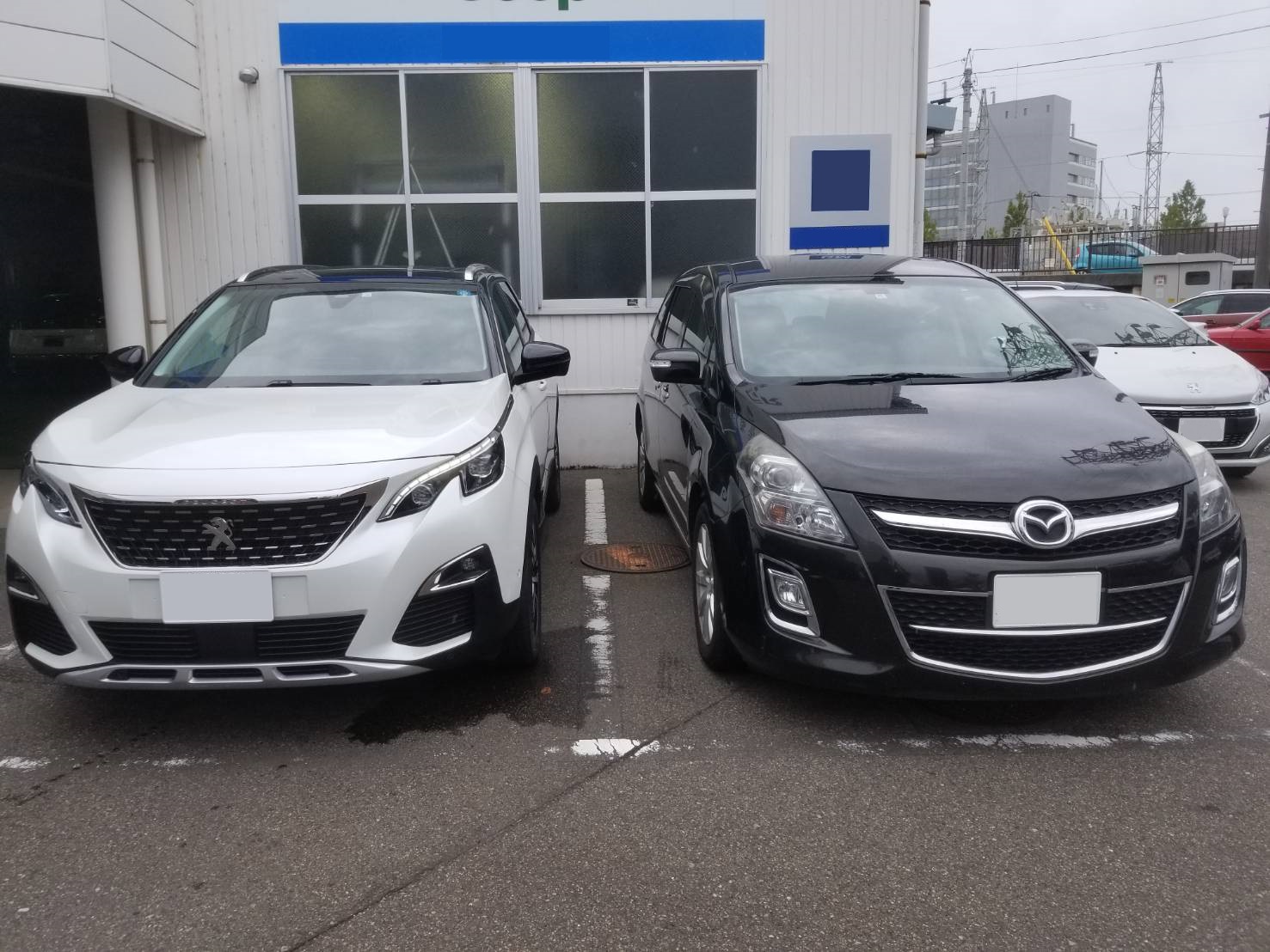 5008 Allure PSR パール・ホワイト　ご納車。