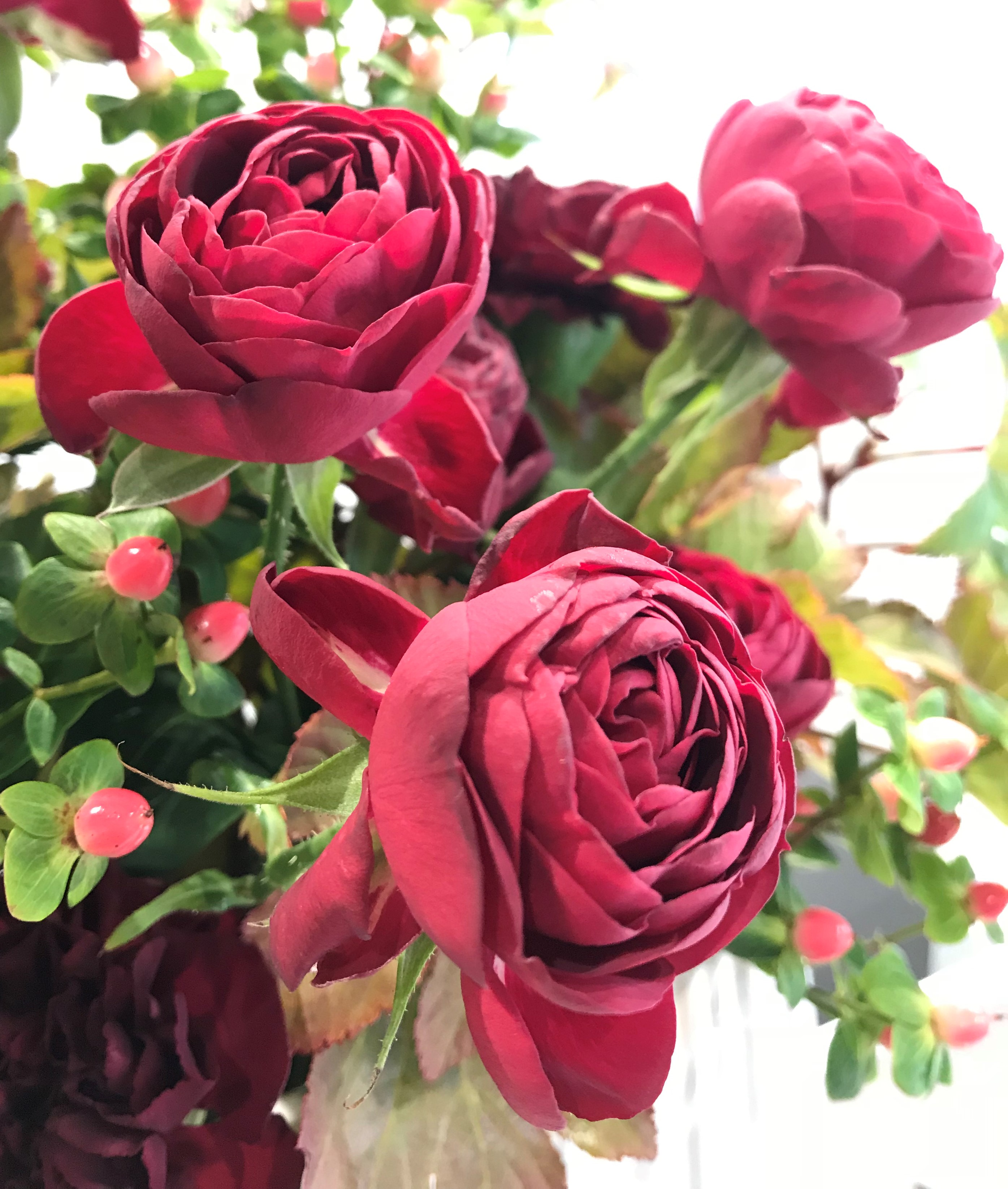 お花紹介