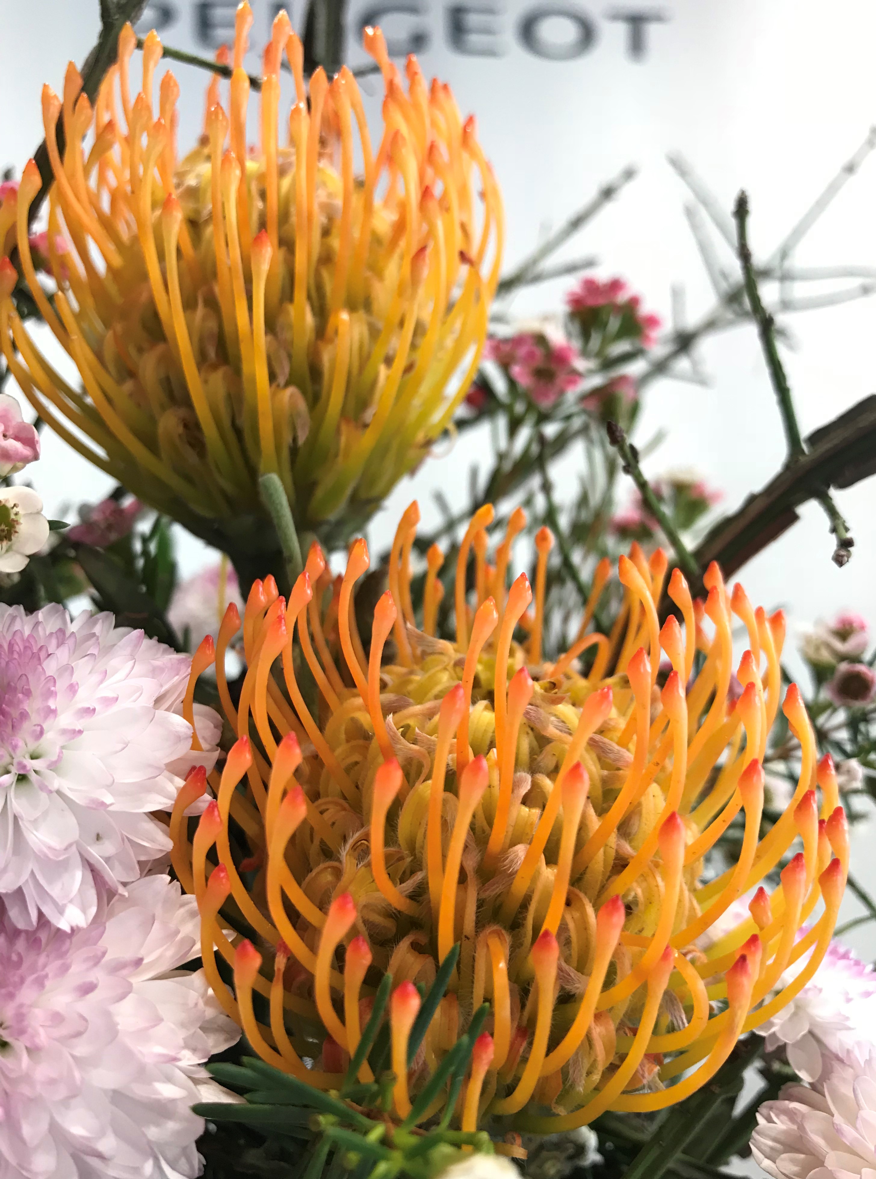 お花紹介