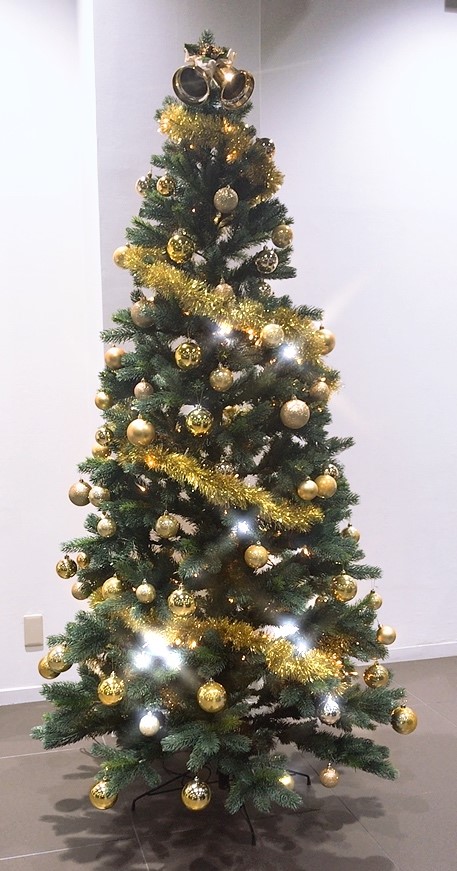 クリスマスツリー☆