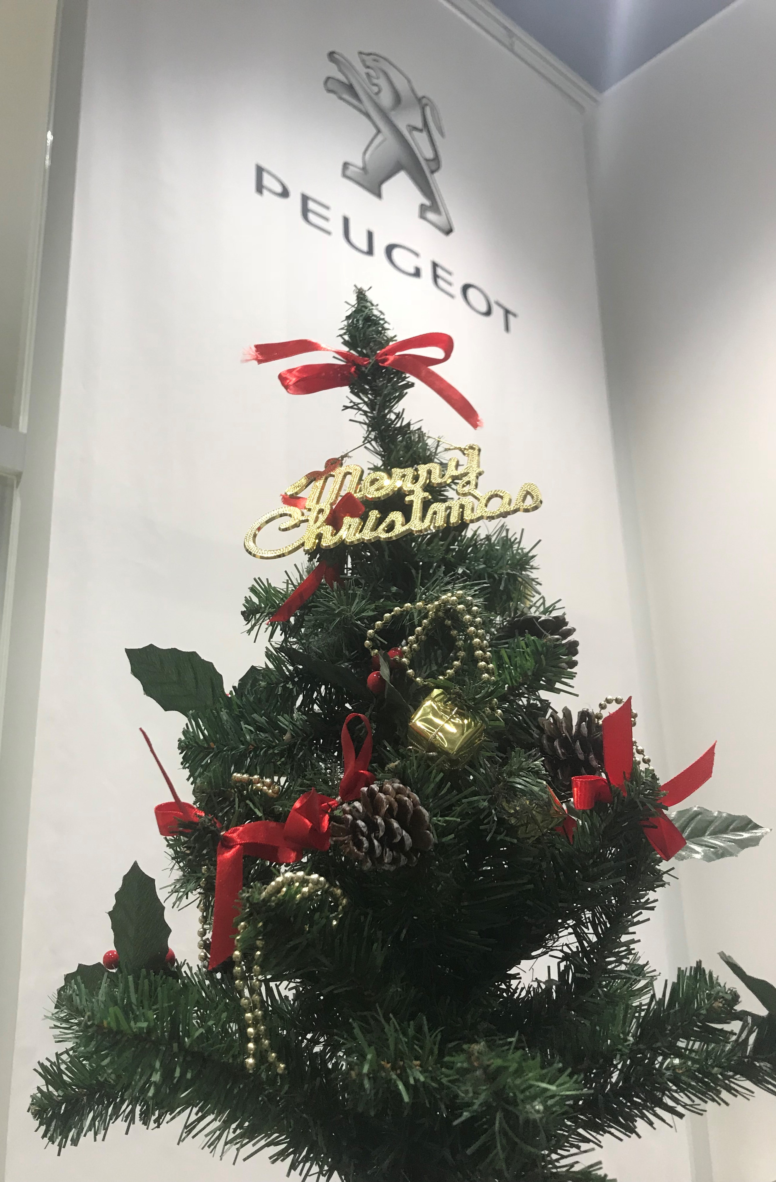 クリスマスツリー☆