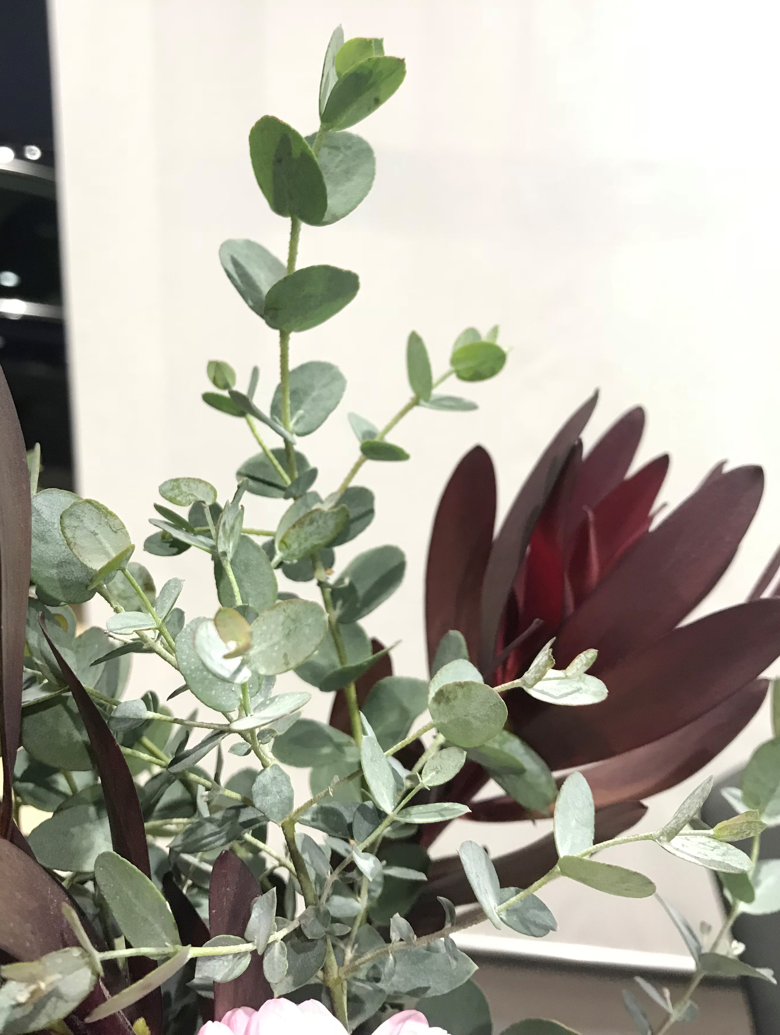お花紹介