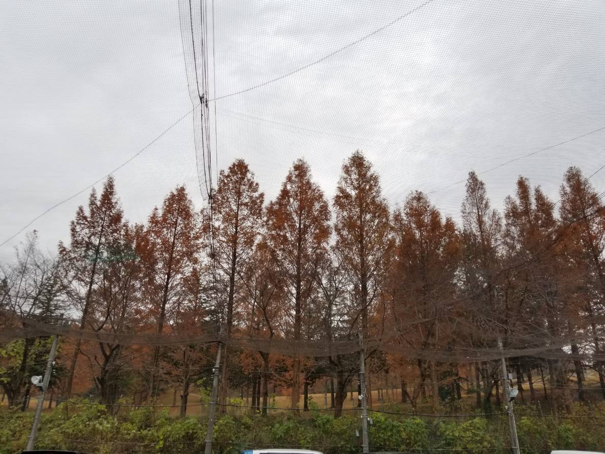 温泉にいってきました！３