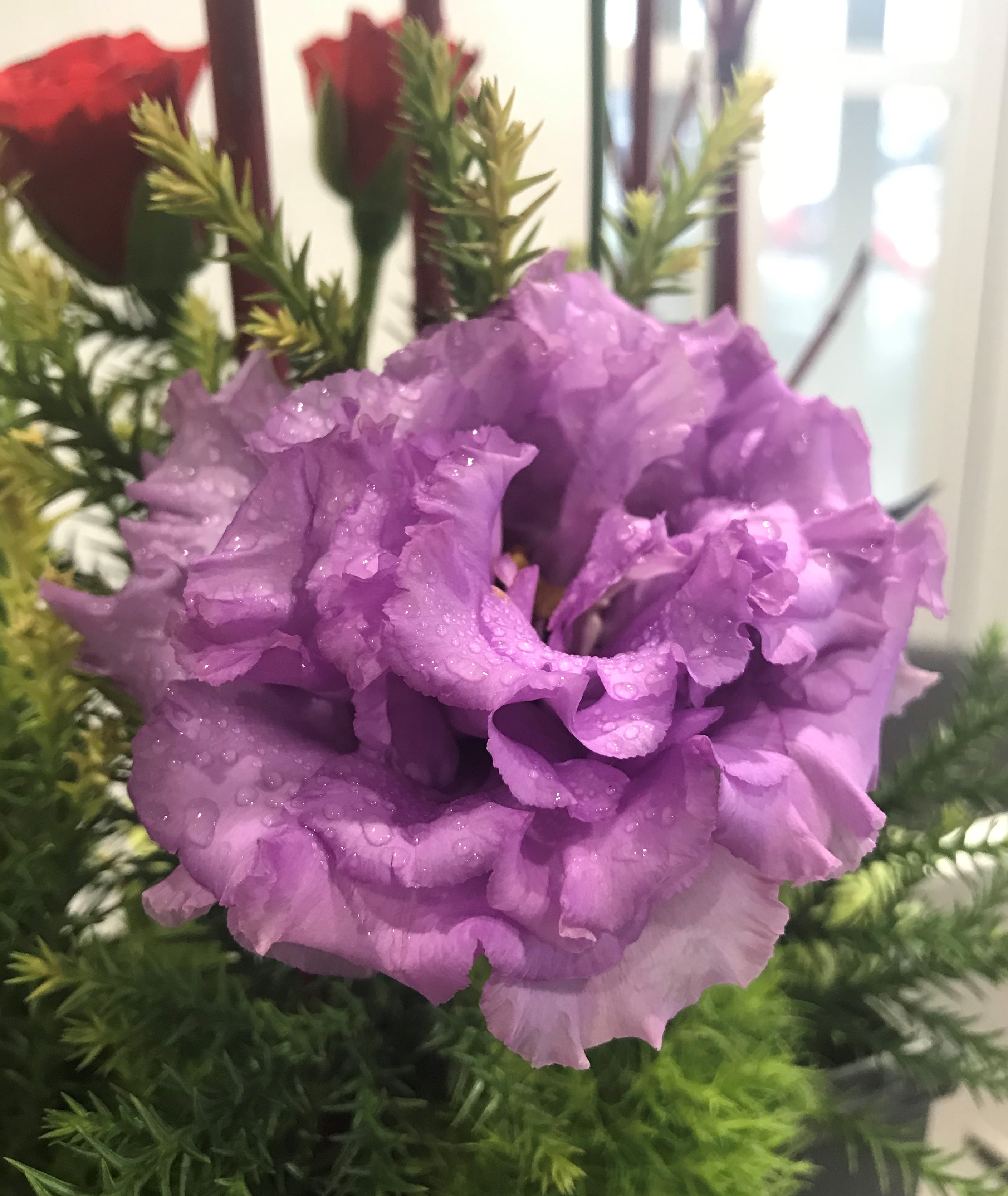 お花紹介