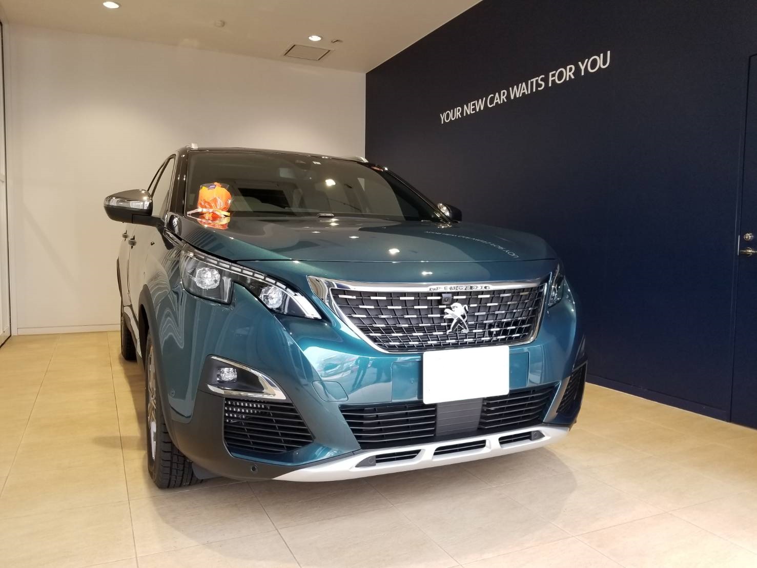 5008 GT BlueHDi FCP　エメラルド・クリスタルご納車。 