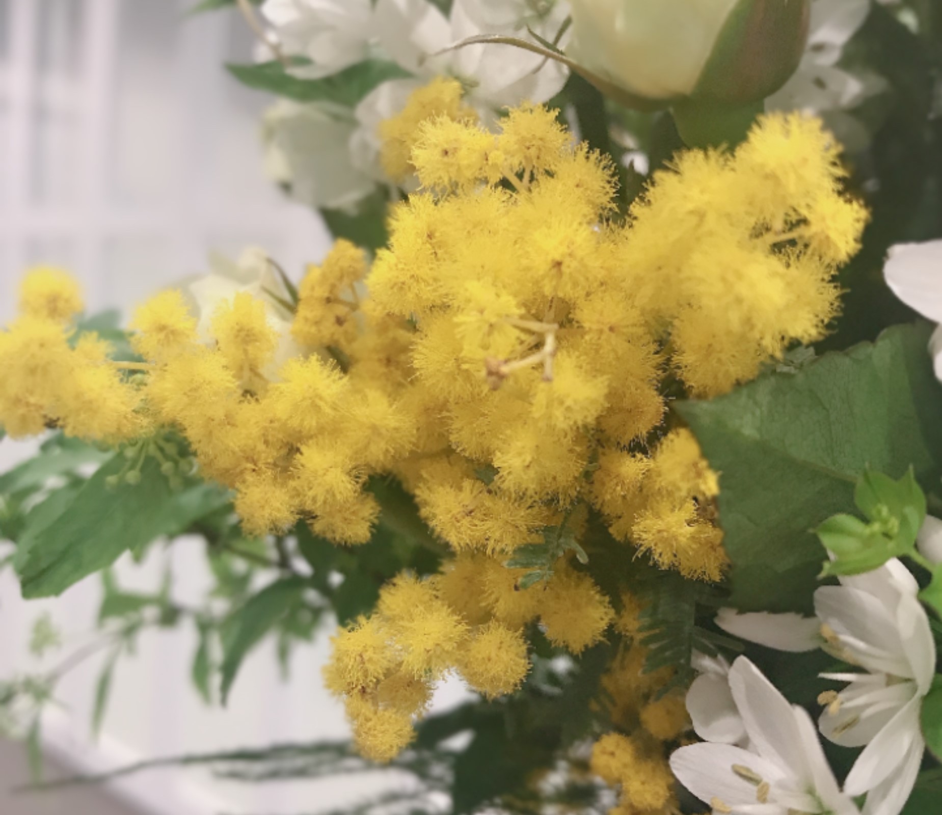 お花紹介