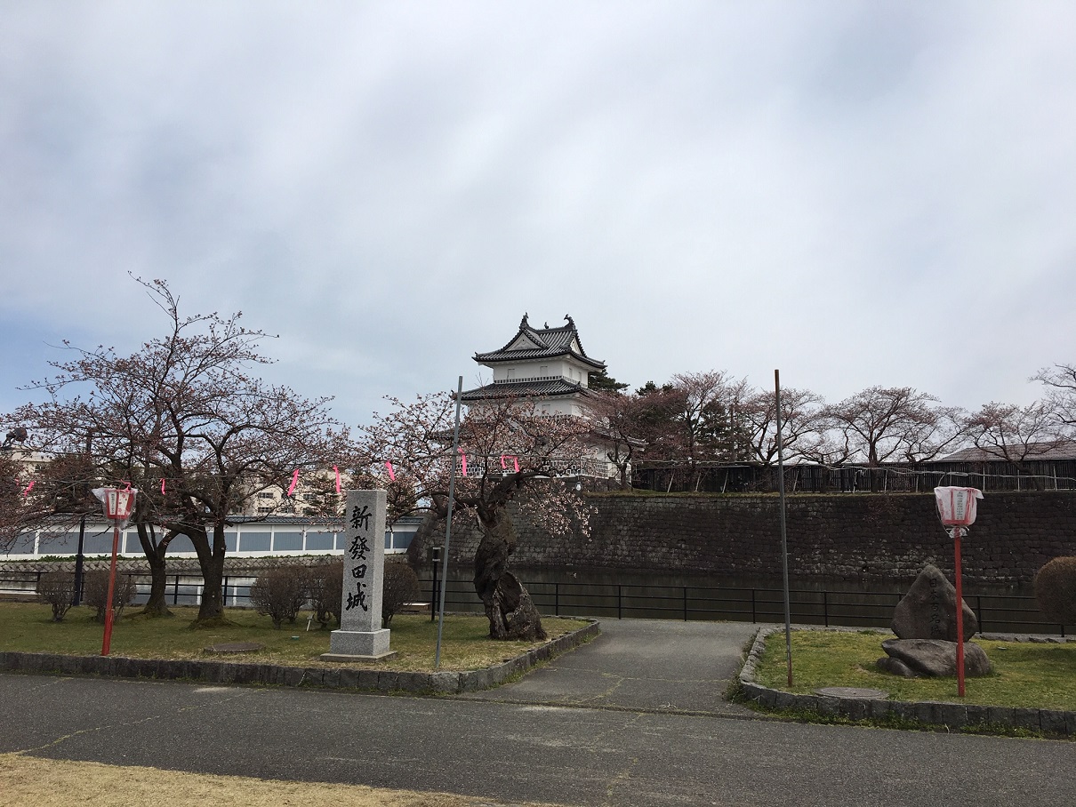 桜はまだかいな