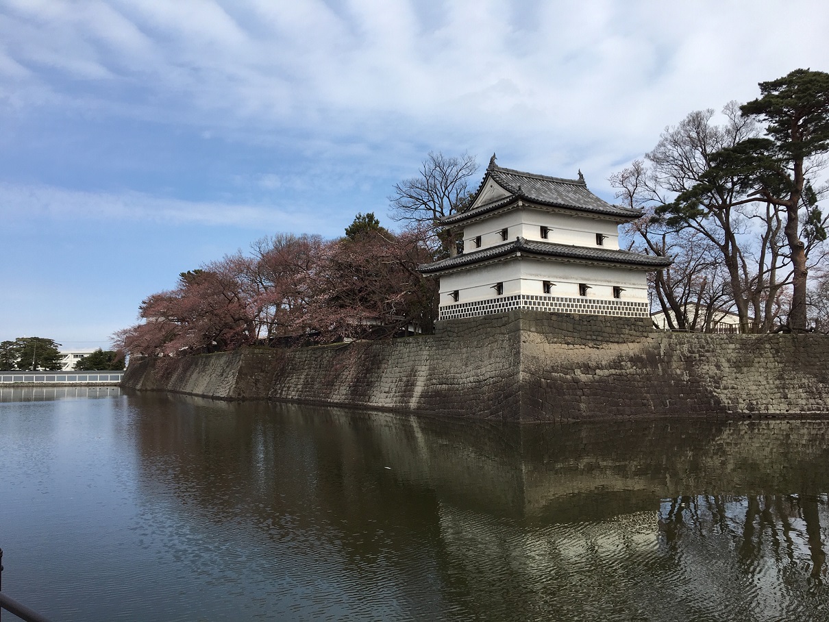 桜はまだかいな