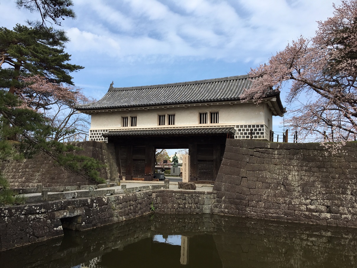 桜はまだかいな