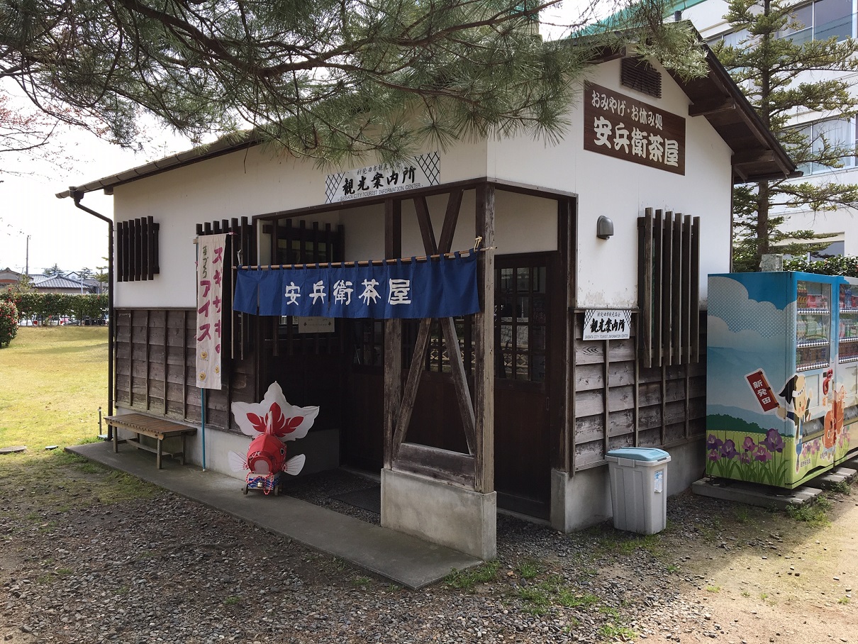 桜はまだかいな