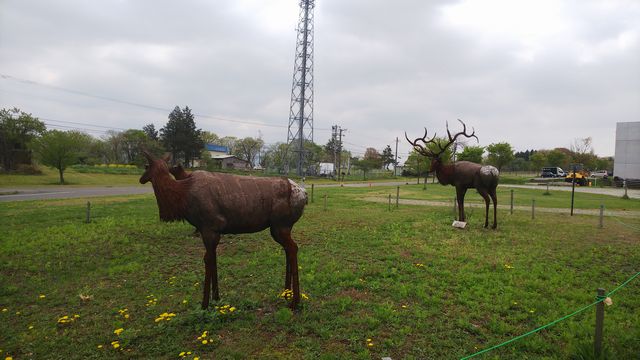 キャンプの時間