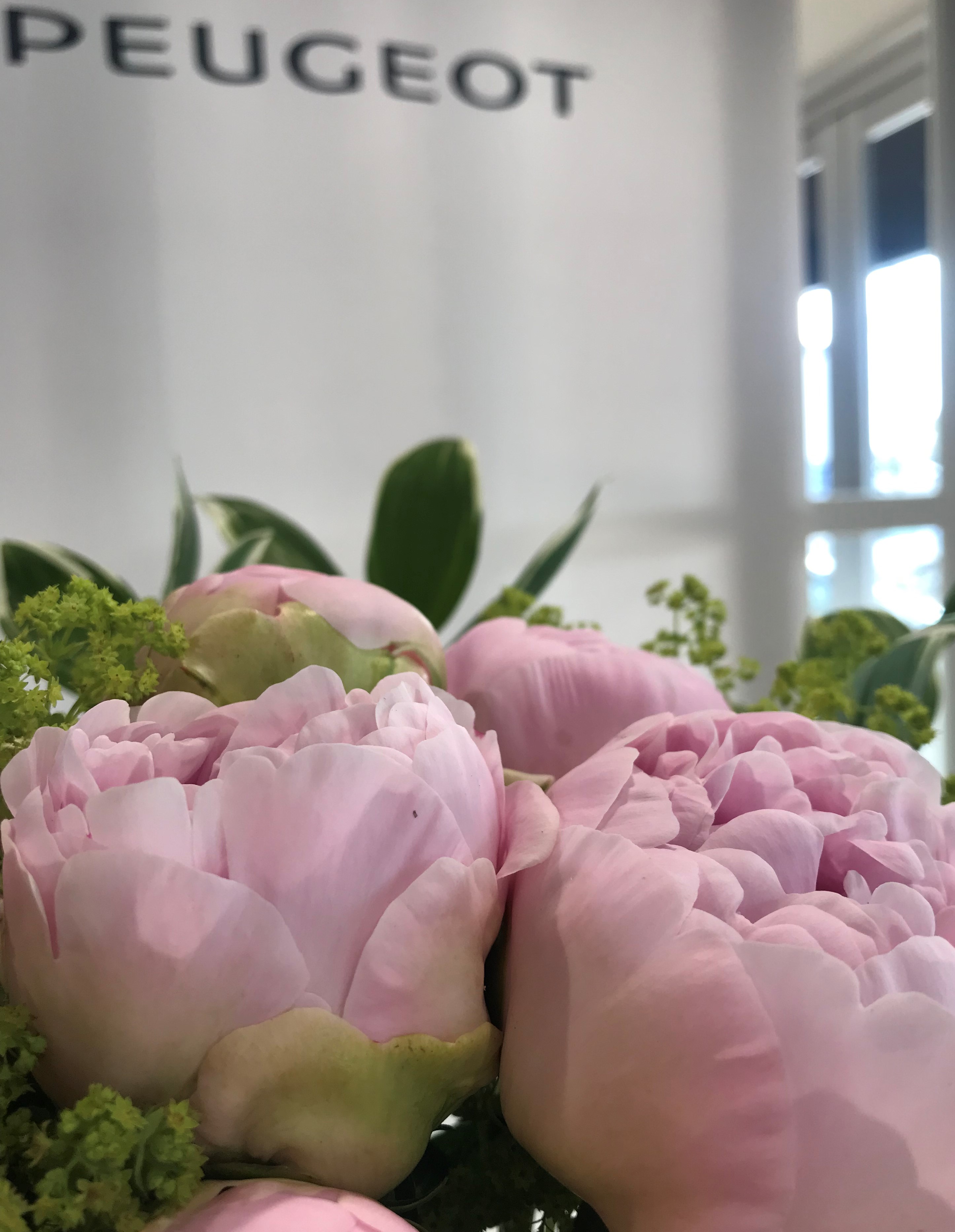 お花紹介