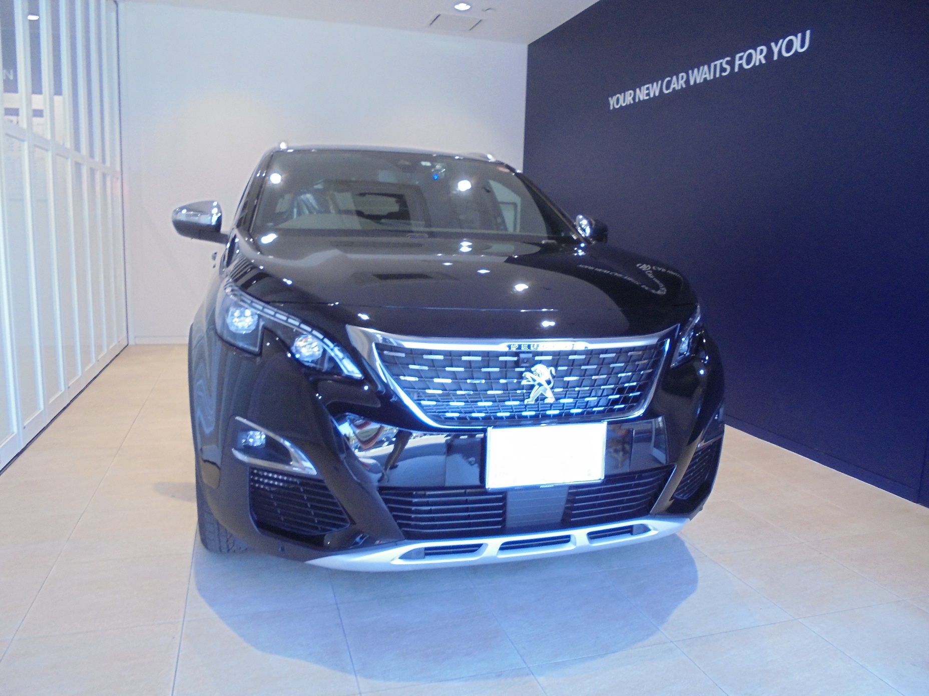 3008GT BH FCP