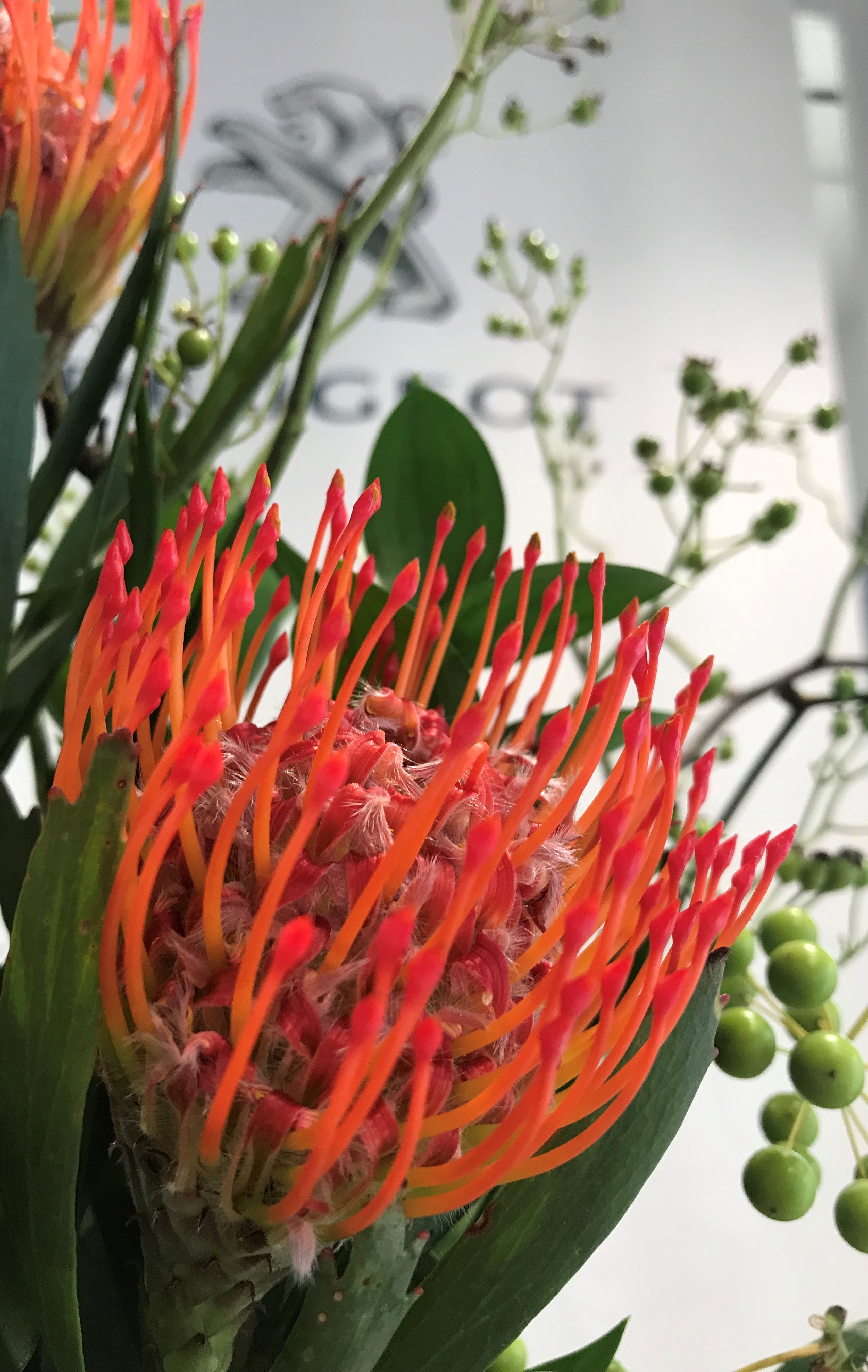 お花紹介
