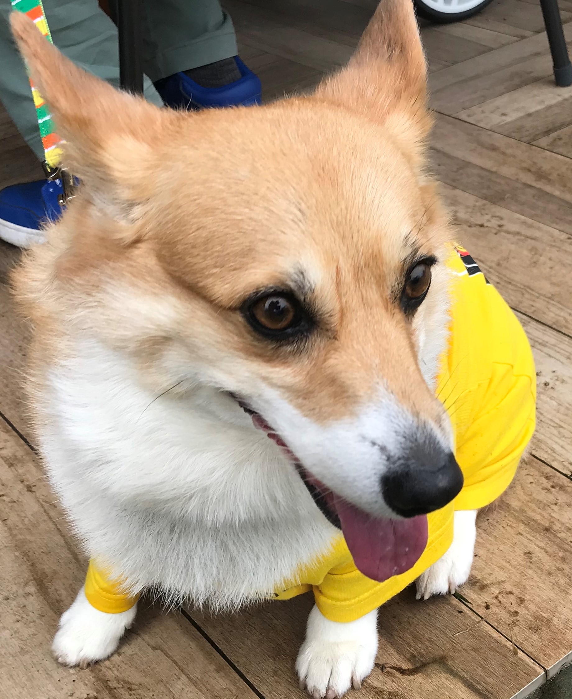 こんにちは
