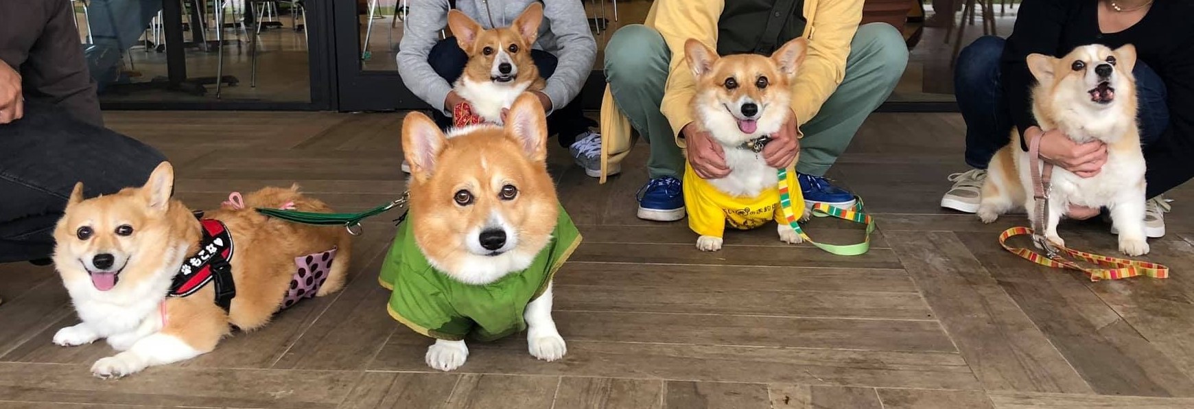 こんにちは