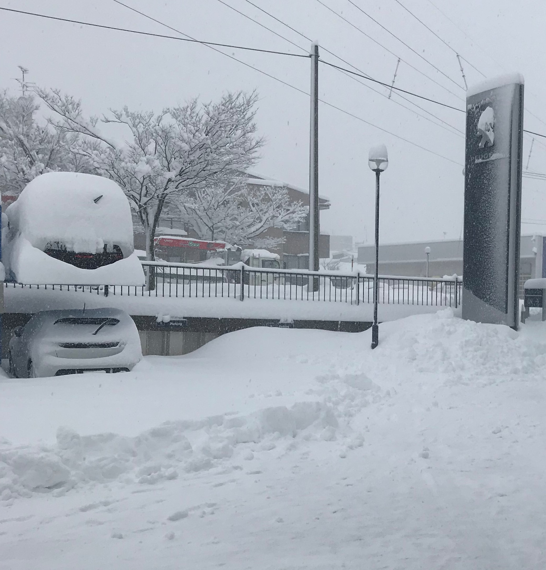 すごい雪！