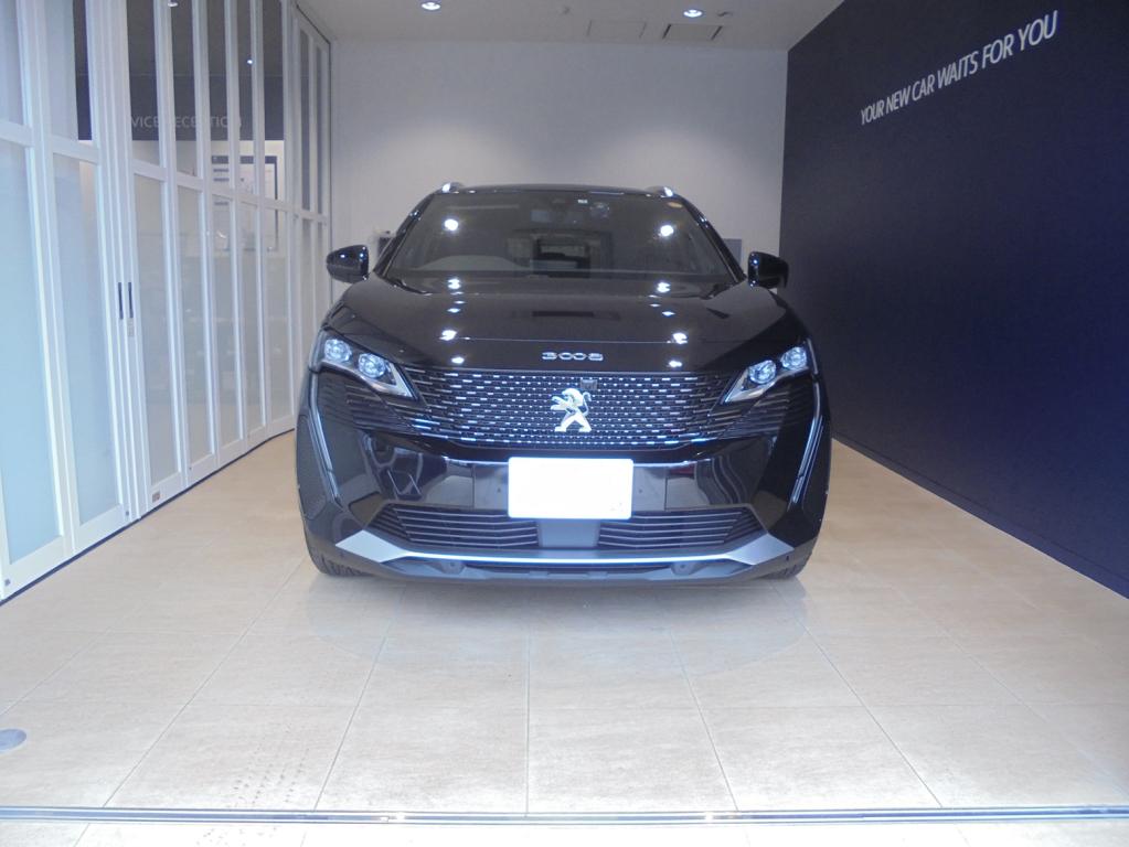 3008GT BH レザーパッケージ