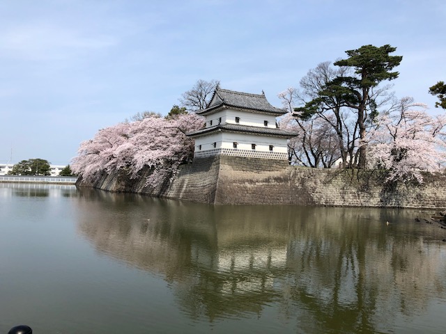 花見散歩