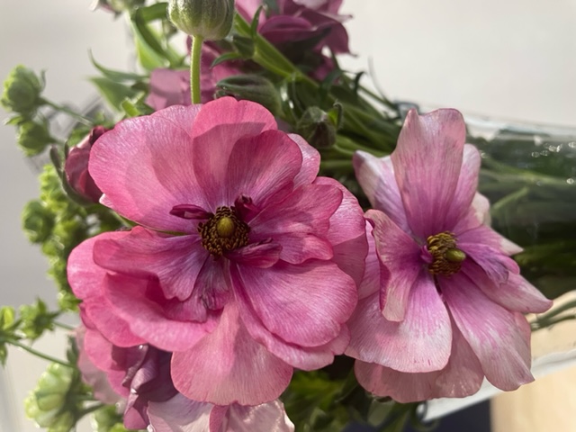 お花紹介