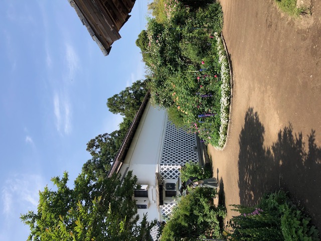 バラ園見学