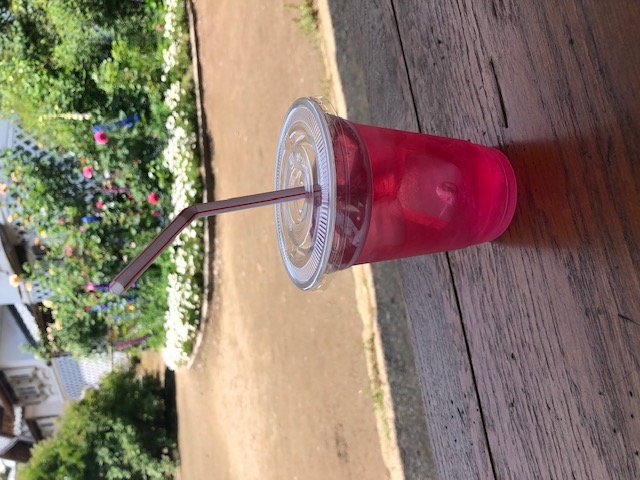 バラ園見学