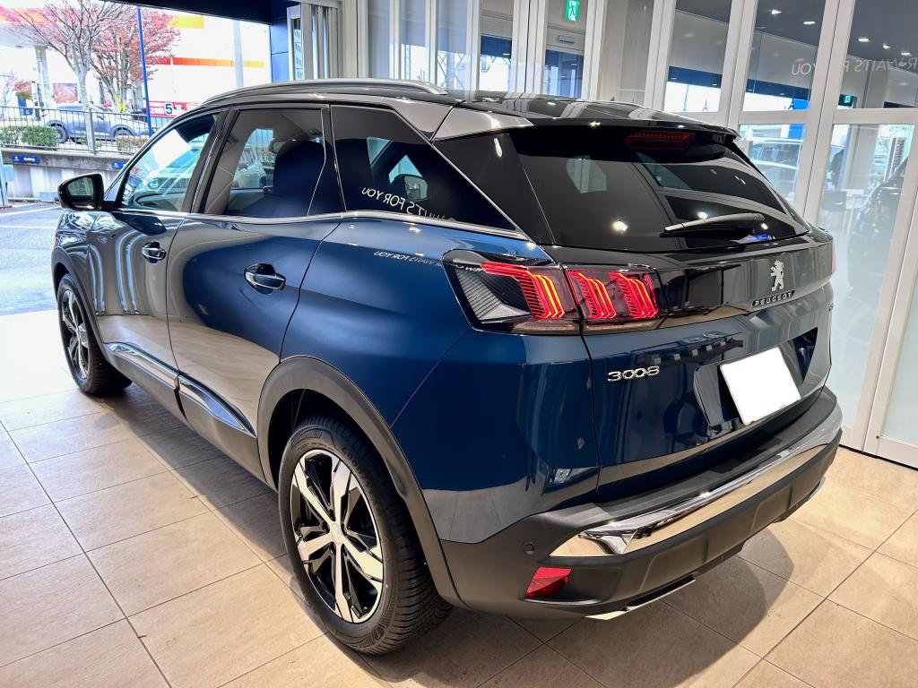 3008 GT BlueHDi ご納車🦁🦁