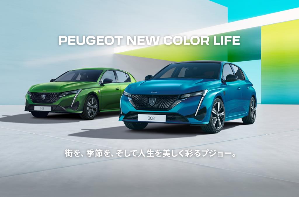 今週末はNEW COLOR LIFE フェアの開催です🌈