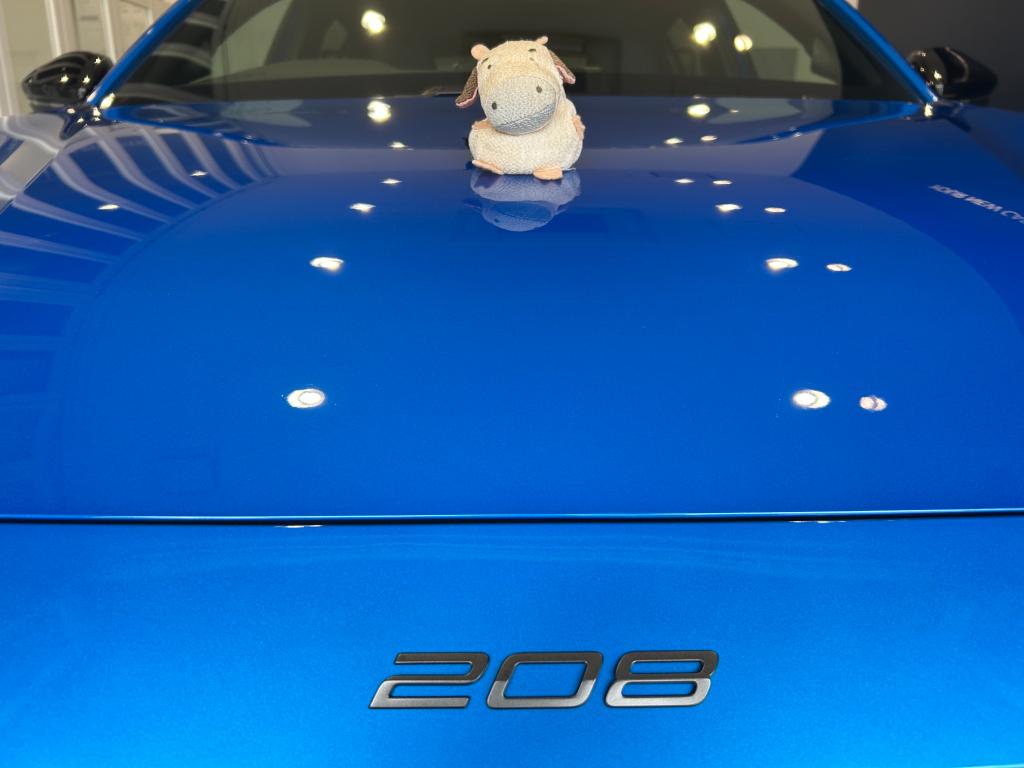 208 GT HYBRID 納車🐮